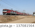 JR貨物EH500形1次形電気機関車牽引コンテナ貨物列車 137081564