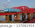 南海電鉄7100系めでたい電車かい編成 137081954