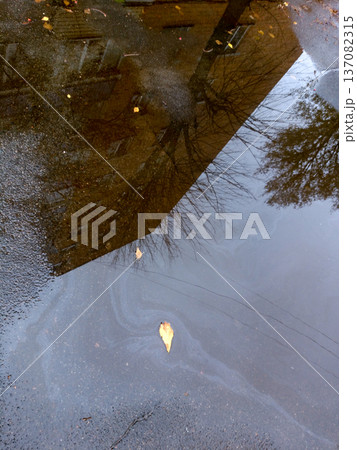 The Architecture backgrounds and objects. Reflection in a puddle. The Architecture backgrounds and objects. Reflection in a puddle. 137082315