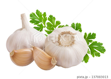 unpeeled whole garlic and cloves isolated on white background close up unpeeled whole garlic and cloves isolated on white background close up 137083013