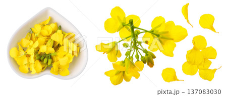 Rapeseed flowers in ceramic bowl isolated on white background, Top view. Flat lay 137083030