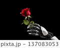 robot hand and flower. generative ai 137083053