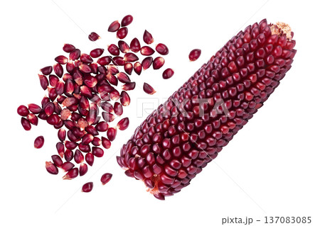 Purple corn or maize seeds isolated on white background with full depth of field. Top view. Flat lay Purple corn or maize seeds isolated on white background with full depth of field. Top view. Flat lay 137083085