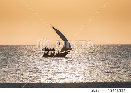 Dhow sailing during sunset in Zanzibar 137083324