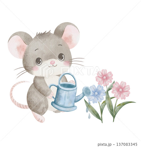Watercolor cute mouse watering flowers from metal watering can, gardening little animal, pink and blue blooms, nature scene, kid hand-drawn illustration, Earth Day ecology concept, isolated on white Watercolor cute mouse watering flowers from metal watering can, gardening little animal, pink and blue blooms, nature scene, kid hand-drawn illustration, Earth Day ecology concept, isolated on white 137083345