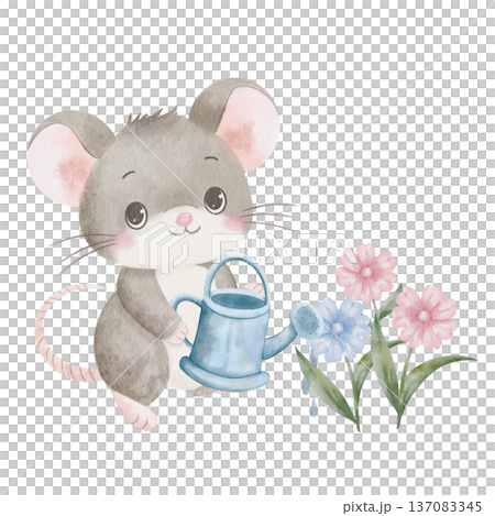 Watercolor cute mouse watering flowers from metal watering can, gardening little animal, pink and blue blooms, nature scene, kid hand-drawn illustration, Earth Day ecology concept, isolated on white Watercolor cute mouse watering flowers from metal watering can, gardening little animal, pink and blue blooms, nature scene, kid hand-drawn illustration, Earth Day ecology concept, isolated on white 137083345