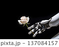 robot hand and flower. generative ai 137084157