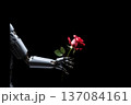 robot hand and flower. generative ai 137084161