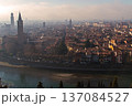 view of the city from the height 137084527