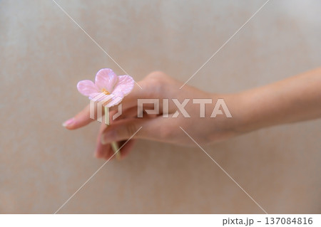 Girl holding delicate handmade glass flower in soft pink on neutral background 137084816
