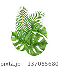 Watercolor tropical foliage arrangement with palm fronds and monstera leaves in rich green tones. Botanical jungle composition inspired by island travel, resort lifestyle and exotic summer destination 137085680