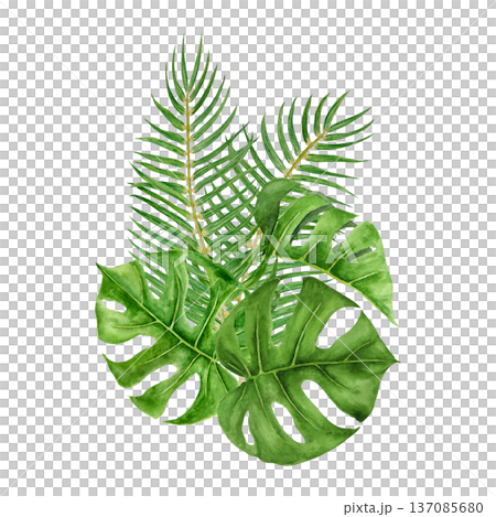 Watercolor tropical foliage arrangement with palm fronds and monstera leaves in rich green tones. Botanical jungle composition inspired by island travel, resort lifestyle and exotic summer destination Watercolor tropical foliage arrangement with palm fronds and monstera leaves in rich green tones. Botanical jungle composition inspired by island travel, resort lifestyle and exotic summer destination 137085680