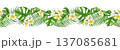 Seamless watercolor tropical border with plumeria flowers and lush green palm and monstera leaves. Horizontal botanical garland design for textile prints, summer decor, travel themes, resort branding 137085681