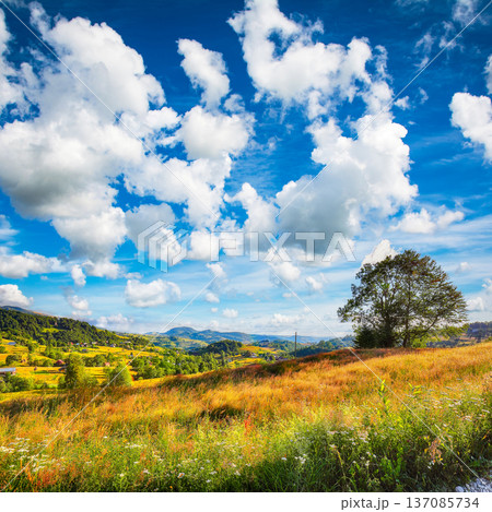 Captivating countryside landscape with forested hills and haystacks on a grassy rural field in mountains. Captivating countryside landscape with forested hills and haystacks on a grassy rural field in mountains. 137085734