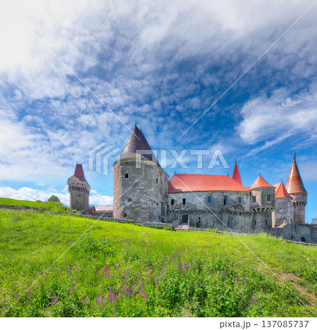 Breathtaking morning view of Hunyad Castle (Corvin's Castle) with wooden bridge Breathtaking morning view of Hunyad Castle (Corvin's Castle) with wooden bridge 137085737