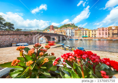 Remarkable cityscape of Bosa town with Ponte Vecchio bridge across the Temo river. Remarkable cityscape of Bosa town with Ponte Vecchio bridge across the Temo river. 137085750