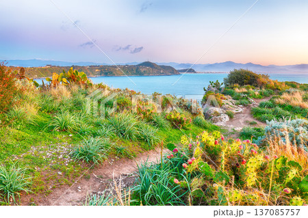 Remarkable spring view on the the cape Milazzo panorama of nature reserve. 137085757