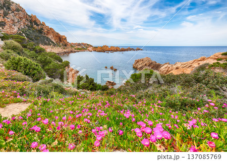 Remarkable view of popular travel destination Costa Paradiso. Remarkable view of popular travel destination Costa Paradiso. 137085769