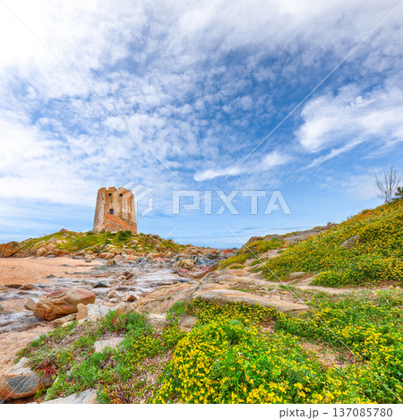 Remarkable view of Bari Sardo tower in the Gulf of Orosei. 137085780