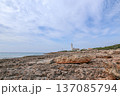 灯台のある風景 137085794
