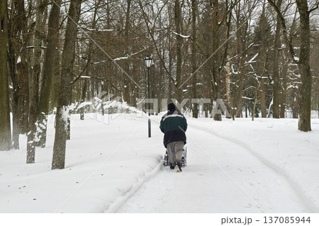 A worker is cleaning a trail in the park using a snow plow A worker is cleaning a trail in the park using a snow plow 137085944