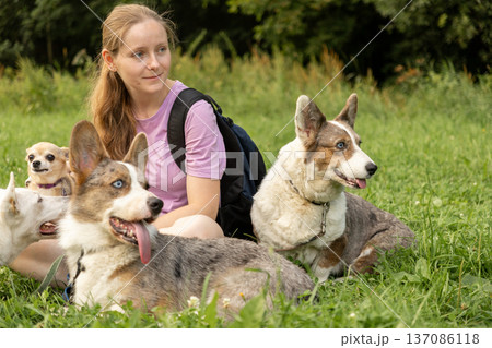 Professional dog walker young woman with pack of dogs is sitting on grass and enjoying walk animals. 137086118