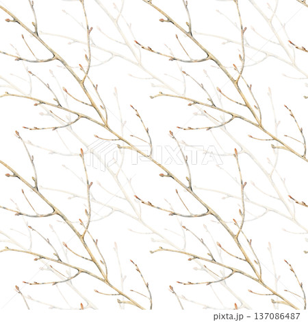 Diagonal seamless pattern with brown tree branches without leaves. Watercolor illustration of a botanical element on an isolated background. Realistic background of natural colors with images of bare 137086487