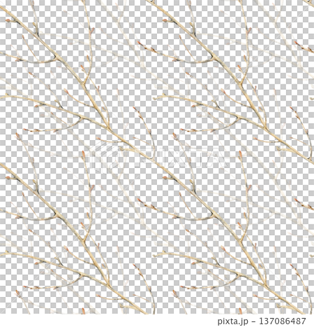 Diagonal seamless pattern with brown tree branches without leaves. Watercolor illustration of a botanical element on an isolated background. Realistic background of natural colors with images of bare Diagonal seamless pattern with brown tree branches without leaves. Watercolor illustration of a botanical element on an isolated background. Realistic background of natural colors with images of bare 137086487