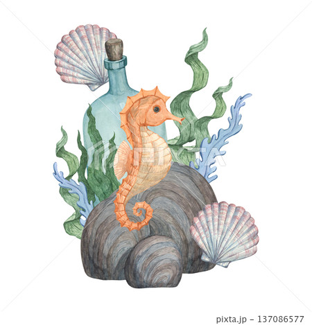 A watercolor illustration of a seahorse, a seabed dweller 137086577