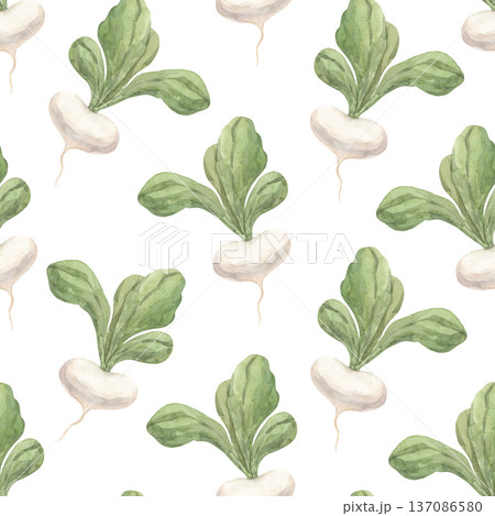 Watercolor pattern with turnips with large leaves Watercolor pattern with turnips with large leaves 137086580