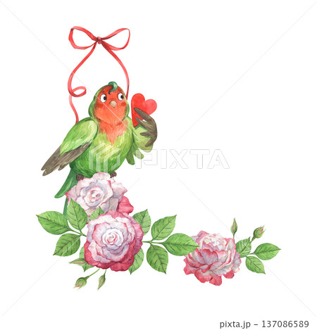 A frame featuring a cute parrot holding a Valentine's card among roses 137086589