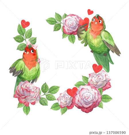 A frame featuring two parrots in love among roses A frame featuring two parrots in love among roses 137086590
