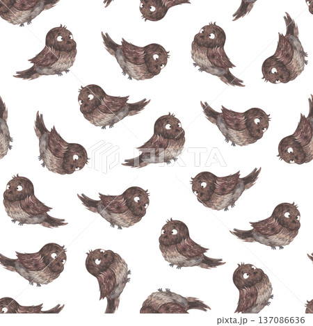Watercolor pattern with cute sparrows Watercolor pattern with cute sparrows 137086636