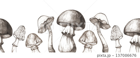 Seamless border with forest mushrooms on a white background 137086676