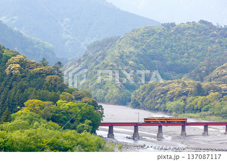 新緑の山々と大井川を渡るローカル線 新緑の山々と大井川を渡るローカル線 137087117