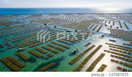 持続可能な海藻養殖場 持続可能な海藻養殖場 137087635