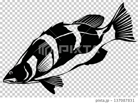 A simple black and white paper cutout illustration of a red-tailed shrike living in the clear waters of the Shimanto River A simple black and white paper cutout illustration of a red-tailed shrike living in the clear waters of the Shimanto River 137087831