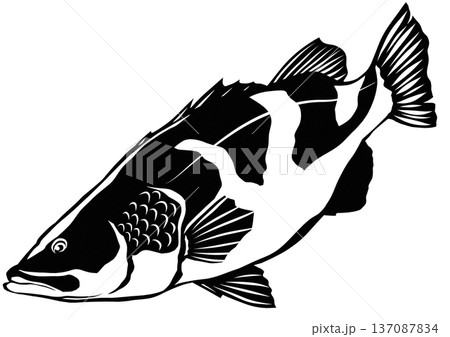 四万十川に住む怪魚アカメの切り絵貼り絵イラスト 四万十川に住む怪魚アカメの切り絵貼り絵イラスト 137087834