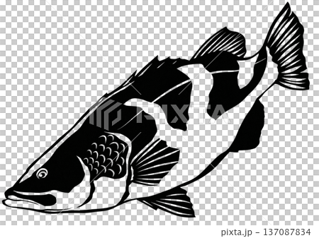 四万十川に住む怪魚アカメの切り絵貼り絵イラスト 四万十川に住む怪魚アカメの切り絵貼り絵イラスト 137087834