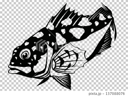 黑白剪紙拼貼畫，描繪了一種常見的魚類——蝎子魚，它什麼都吃。 137088076