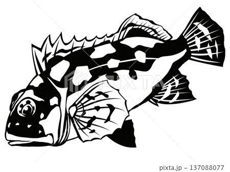 目がグリングリンの可愛い魚カサゴの白黒切り絵貼り絵イラスト 137088077