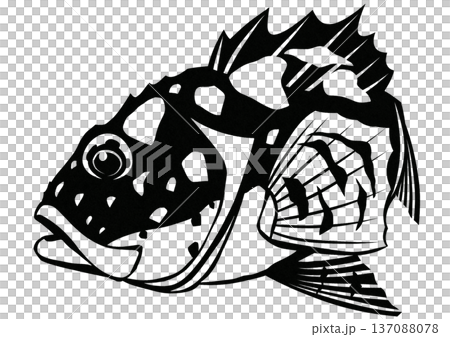 What do you think? It's a cool fish! Black and white cut-out and collage illustration of a rockfish. 137088078