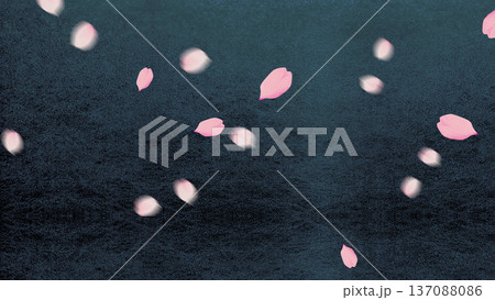 桜吹雪 桜吹雪 137088086