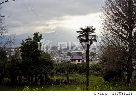 高台から見た夕暮れの街並み 137088112