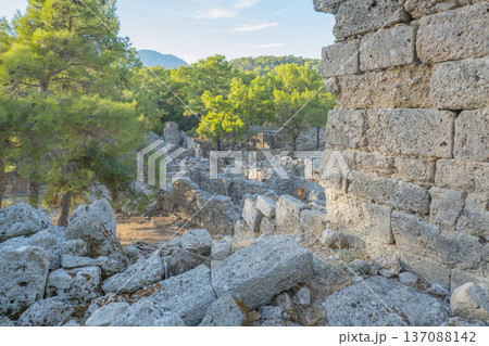 Phaselis, Ancient city, forest. Northern Necropolis is a cemetery with elaborate tombstones. Turkey. Phaselis, Ancient city, forest. Northern Necropolis is a cemetery with elaborate tombstones. Turkey. 137088142