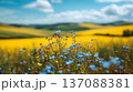 Blue and yellow wildflowers in a vibrant meadow with rolling hills under a bright sky, showcasing a colorful landscape in spring or summer 137088381