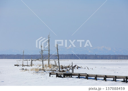 雪に覆われた湖 雪に覆われた湖 137088459