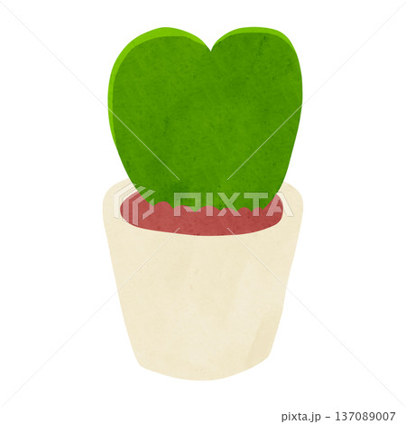 ホヤ・カーリーの鉢植え　水彩風手描きイラスト 137089007