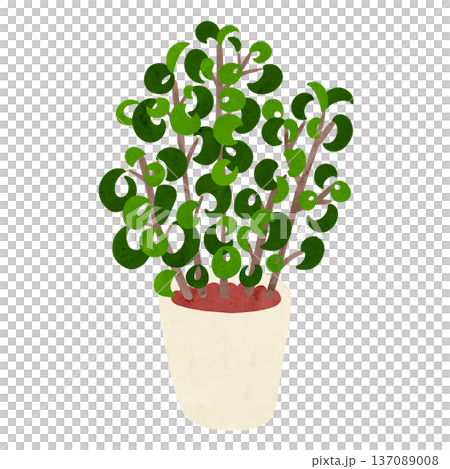 Benjamin Baroque potted plant, watercolor hand-drawn illustration 137089008