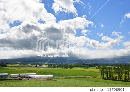 清里町神威の農村風景 清里町神威の農村風景 137089014